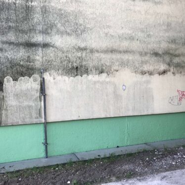 KEISH -Skúška čistenia zľava bez fungcidu / fungicid a WAP / 2 fungucid a WAP